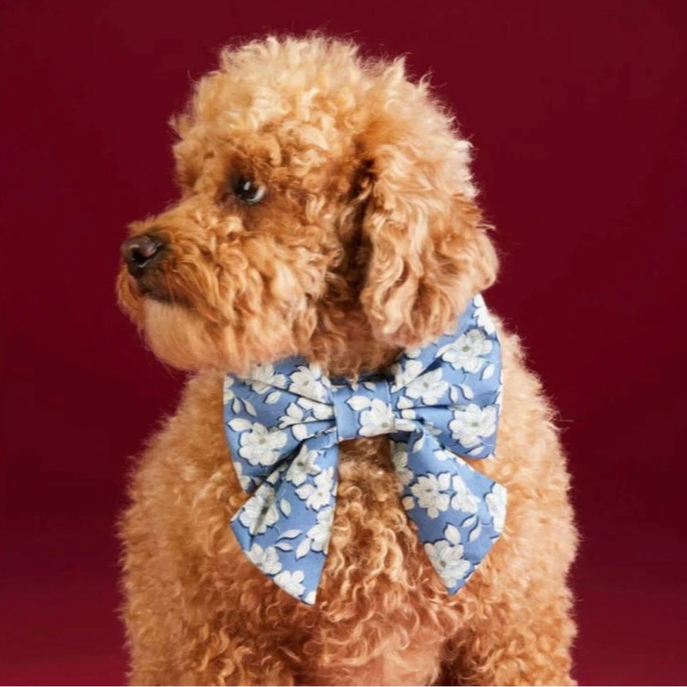 THE FOGGY DOG - DRAPER JAMES X TFD MAGNOLIA SHADOWS LADY BOW TIE NWT